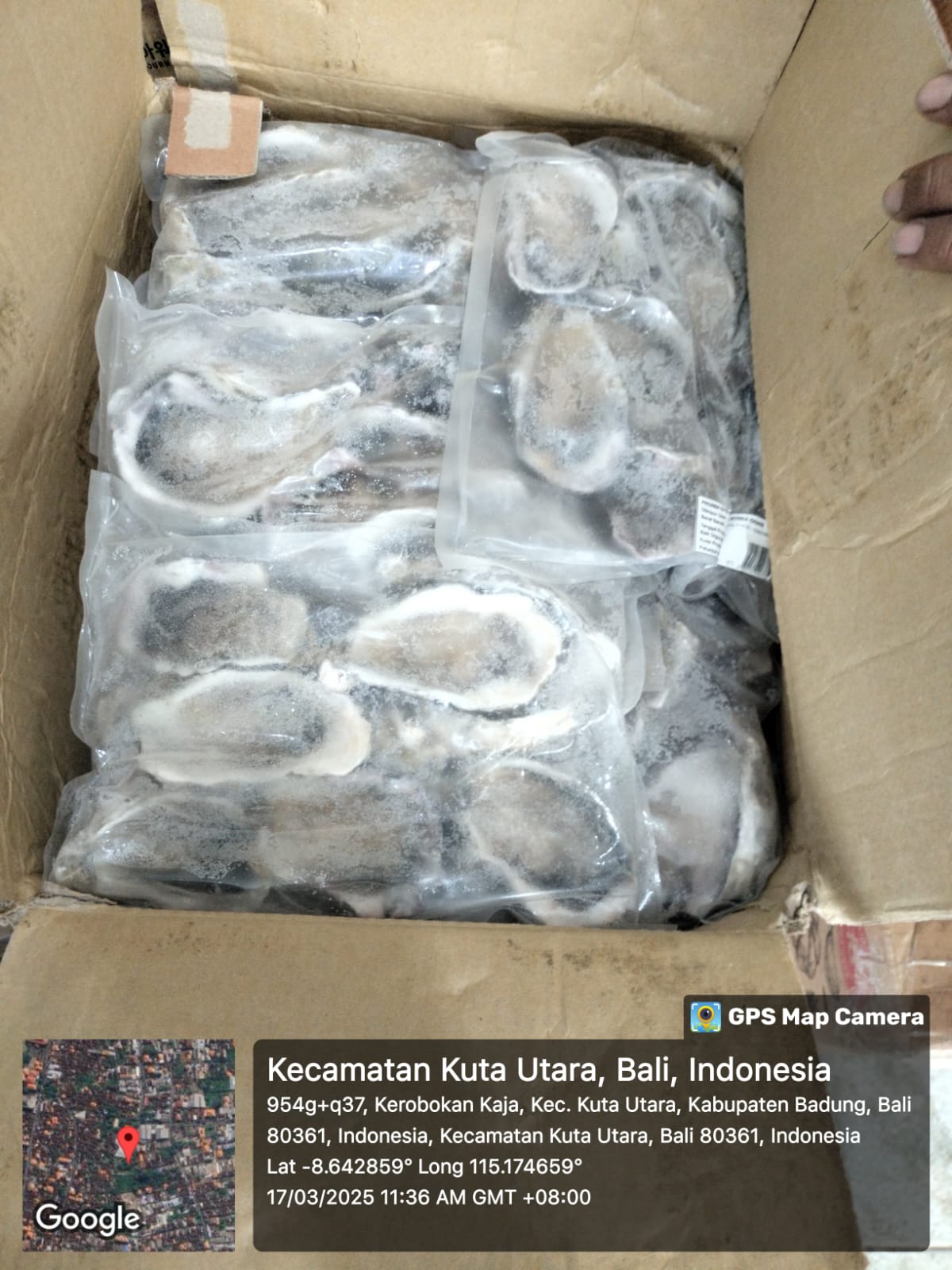 Frozen Seafood - Photo 2