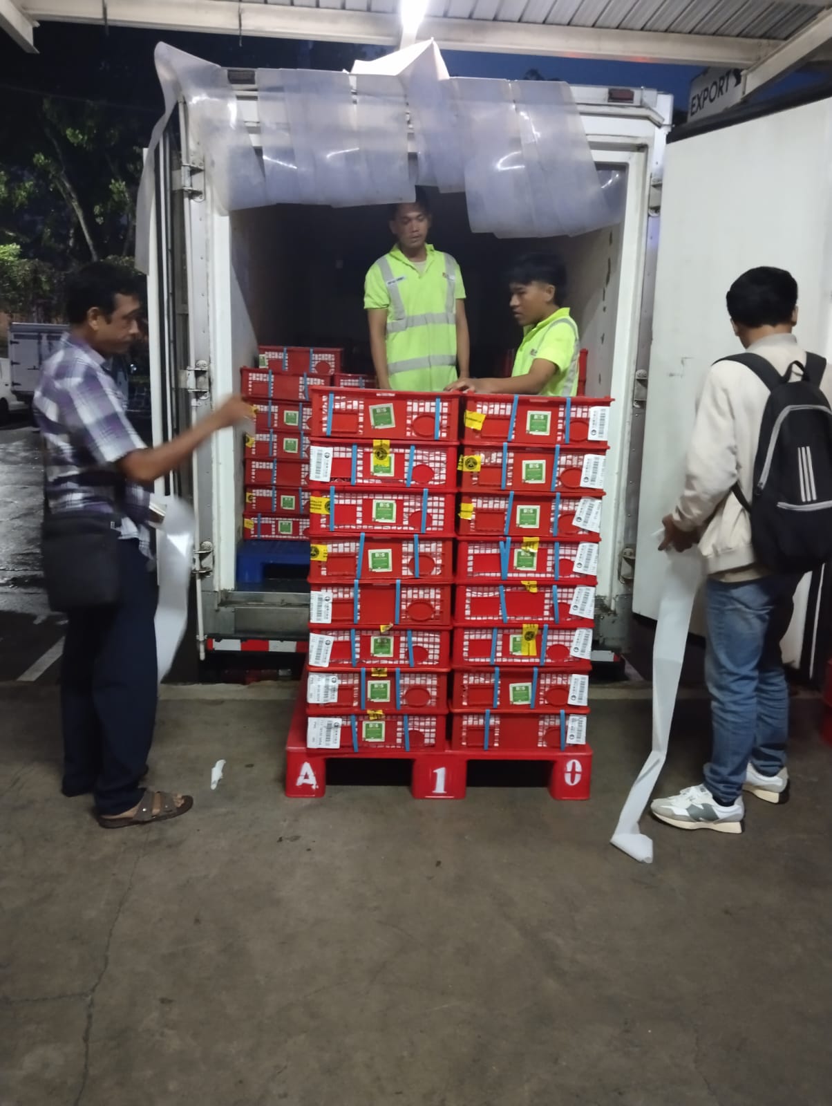 Premium service eksport fruit to airport - Photo 2