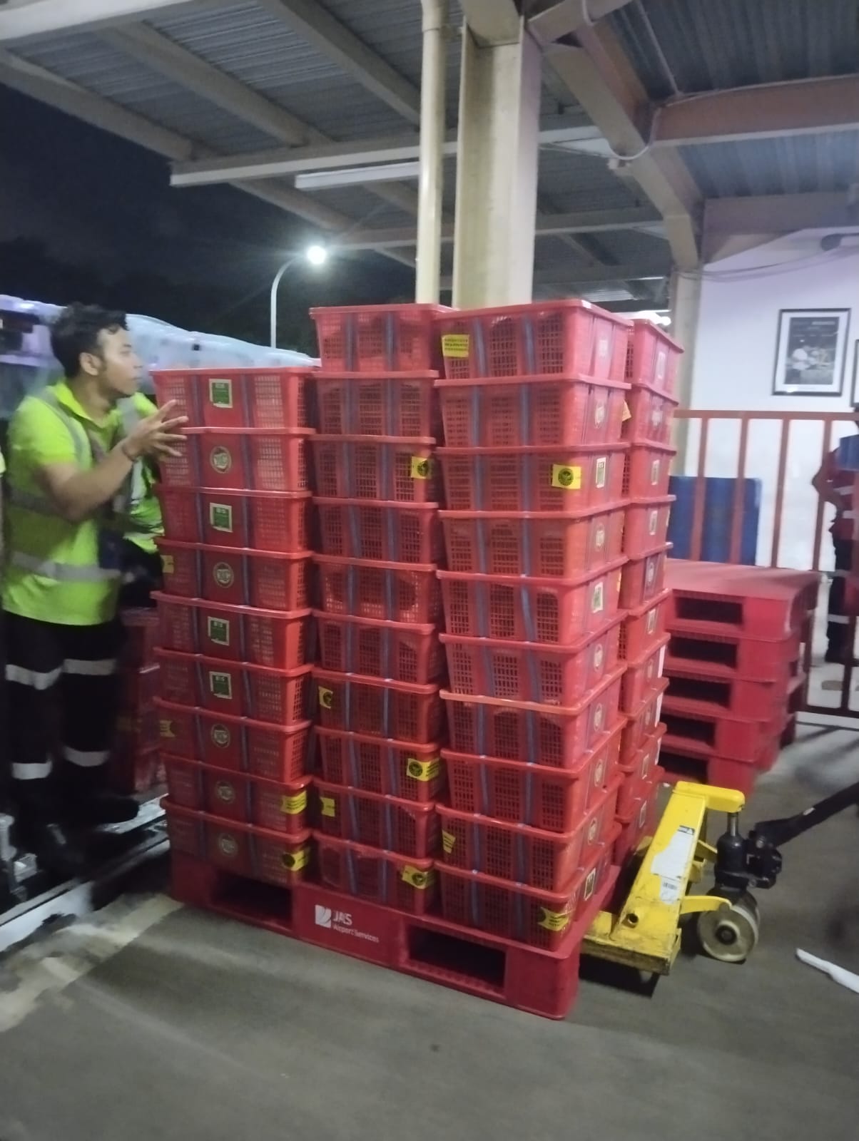 Premium services eksport fruit to airport - Photo 3